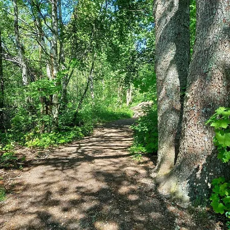 From The Edge Of Nuuksio National Park *