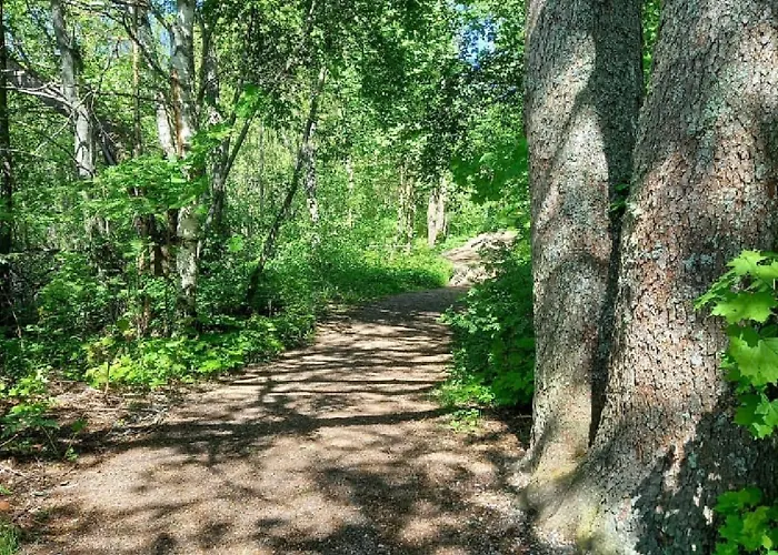 From The Edge Of Nuuksio National Park *